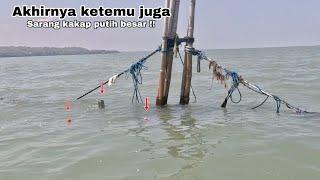 MANCING IKAN KAKAP PUTIH SPOT KAYU KERING Umpan turun langsung disambar Mancing kakap putih