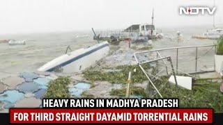 Heavy Rain In Madhya Pradesh Schools Closed In Bhopal  The News