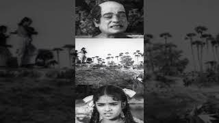 Oral Koodi Kallanayi Movie Shorts  ഒരാൾകൂടി കള്ളനായി  Prem Nazir & Sheela  Evergreen Hit