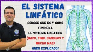  EL SISTEMA LINFATICO LA LINFA BAZO TIMO  VASOS Y GANGLIOS LINFATICOS. BIEN EXPLICADO