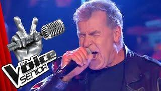 Madsen - Du schreibst Geschichte Steffen Martin  The Voice Senior  Sing-Offs  SAT.1