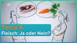 Terra X Braucht der Mensch Fleisch?