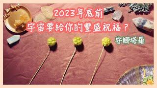 安娜塔羅95️年底前宇宙要給的豐盛與祝福？觸底翻身？宇宙大禮？