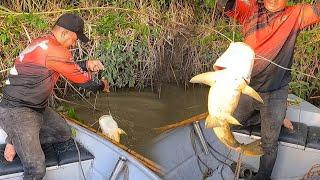 Segundo día de pesca en el Casanare  bajo una creciente muy fuerte y casi se nos lleva los pescados