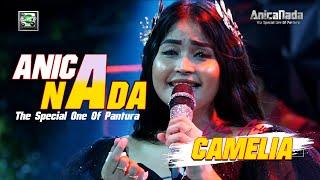 CAMELIA - DIAN ANIC  ANICA NADA  KARANG ANYAR - KARAWANG  25 11 2023