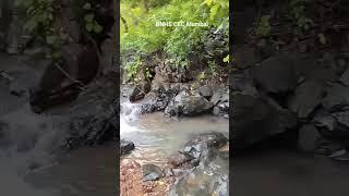 Beautiful stream at BNHS CEC Goregaon Mumbai #bnhs