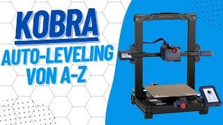 Anycubic Kobra auto-leveling von A-Z ist das Ergebnis ausreichend ?  Teil 12