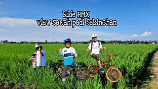 Ride BMX view sawah padi  sekinchan