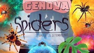 ️SPIDERS La mostra scientifica con ragni vivi a Genova. The scientific exhibition SpidersItaly.