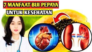 STOP JANGAN DIBUANG  Ini Dia 7 Manfaat Biji Pepaya Yang Wajib Kita Ketahui