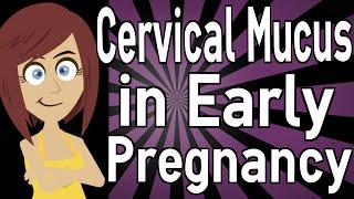 Cervical Mucus in Early Pregnancy
