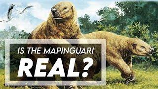 Is The Mapinguari Real?