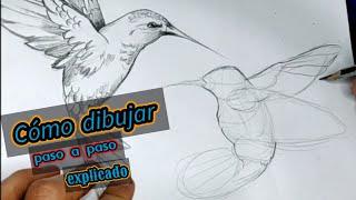 Cómo dibujar un picaflor semi realista paso a paso principiantes How to draw  hummingbirds