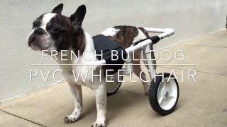 DIY French Bulldog PVC Dog Wheelchair