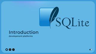 SQLite Case Study A Comprehensive Guide to Embedded Databases