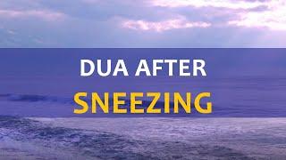 Prayer dua after sneezing  - Daily Islamic Supplications - Dua from Hadith of the Messenger ﷺ
