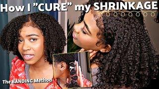 EASY way to STRETCH Natural Hair for more LENGTH and VOLUME Banding Method + Pick NO HEAT