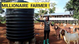 All You Need To Start A Simple GOAT Farm Business DETAILED Plan Farm Routine