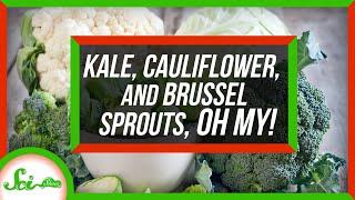 Kale Cauliflower and Brussels Sprouts Are the Same Species