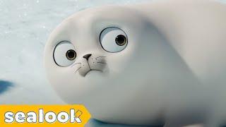 The Cutest Moments of Baby Seal is HereㅣSEALOOKㅣEpisodes Compilation