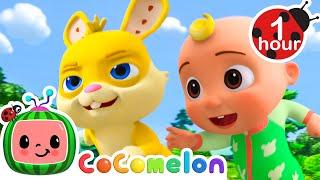 Duck Duck Goose  CoComelon JJs Animal Time  Nursery Rhymes and Kids Songs  After School Club