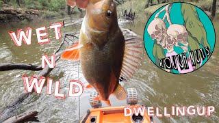 TROUT and REDFIN FISHING in the Murray River Dwellingup  ROUGH NUTS