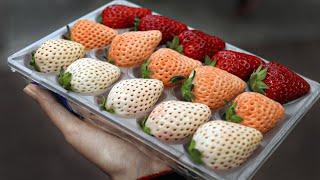 15 MOST UNUSUAL Fruits and Vegetables