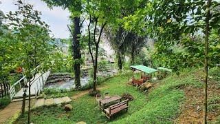 Kopi Tepi Hutan Curug Aren dan Bukit Bidadari Sentul Destinasi Wisata Hits di Sentul