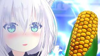 FOX CORN