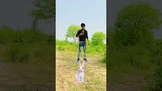 ￼ अमृत फल और शेर  की कहानी  vikas2in1  #dangerous #lion #status #story #short #shorts