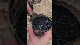 Making a survival water filter and testing it using muddy water