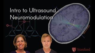 Intro to the 2020 Course on Ultrasound Neuromodulation with Dr. Kim Butts Pauly and Dr. Keith Murphy