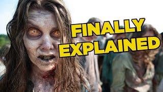 چگونه شیوع زامبی The Walking Dead آغاز شد