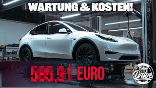 Service beim Model Y Performance Was kostet der Spaß?