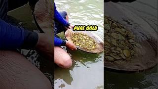 Gold Huntertambang emas tersembunyi di sungai pedalamanpenemuan emas luar biasa #gold