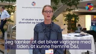 Hvem er ansvarlig? Er mangfoldighedskonference vigtig? Mette Møller Dansk Industri Mangfoldighed.dk