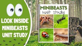 Look Inside Minibeasts Unit Study
