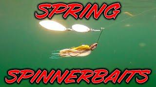 Spring Spinnerbait Fishing Everything You Need To Know