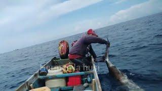 BEGINI JADINYA BLUE MARLIN MAKAN UMPAN TUNA