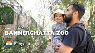 The BEST family destination in Bangalore - Bannerghatta Zoo