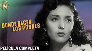 Donde Nacen Los Pobres 1950  Tele N  Película Mexicana Completa