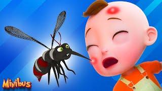 Mosquito Song + More Nursery Rhymes & Kids Songs  Minibus
