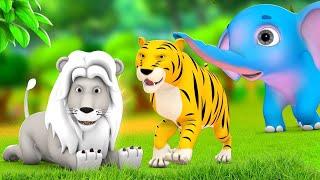 बाघ और सफेद शेर की दोस्ती - Tiger & White Lion Friendship Hindi Kahaniya Moral Stories JOJO TV Kids