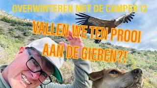 #653 WE RAKEN VERDWAALD EN DE GIEREN RUIKEN BLOED overwinteren met de camper 12