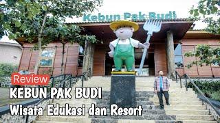 Wisata Edukasi dan Resort  Kebun Pak Budi  Ada cottage nya murah KEREN  #kebunpakbudi