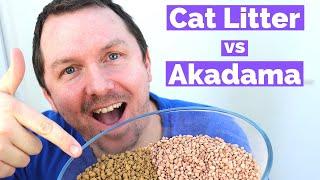 Bonsai Soil Cat Litter Vs Akadama