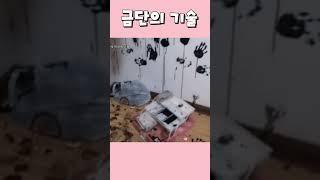 금단의 기술  #유머 #버튜버 #버츄얼