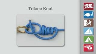 How to Tie a Trilene Knot  Fishing Knots