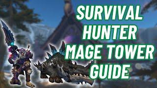 Survival Hunter  Mage Tower Guide  World of Warcraft