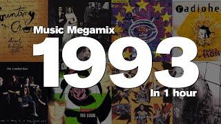 1993 in 1 Hour - Top hits including Counting Crows Duran Duran U2 The Cranberries and many more